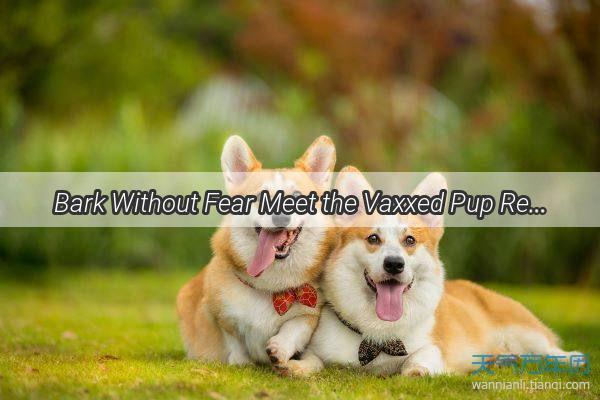 Bark Without Fear Meet the Vaxxed Pup Ready to Play Again